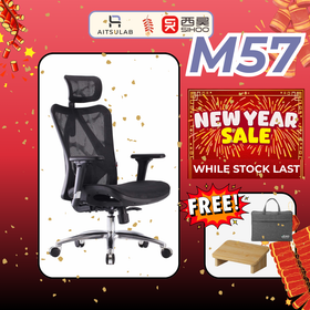 SIHOO M57 Ergonomic Chair