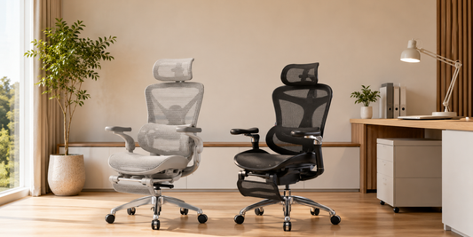 Reiko and Sihoo ergonomic chairs in a Malaysian home office