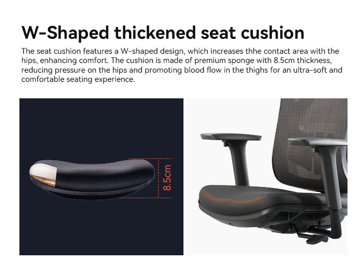 SIHOO M18 Lumbar Support Office Chair Malaysia | Aitsulab