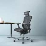 SIHOO V1 Adjustable Ergonomic Chair Malaysia | Aitsulab