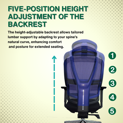 Reiko Elevate 30 Ergonomic Chair  Fabric Cushion Seat Chair 3 Years Warranty (Office Chair, Ergonomic Chair, Sihoo)