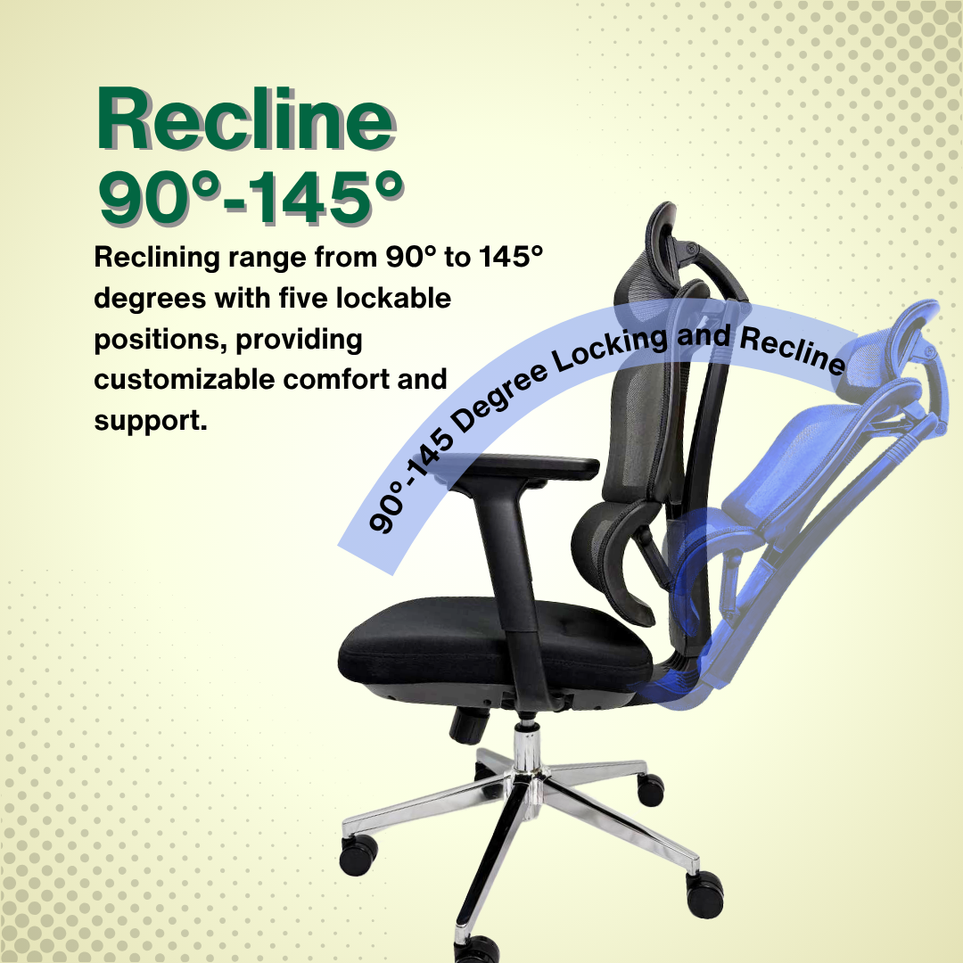 Reiko Elevate 30 Ergonomic Chair  Fabric Cushion Seat Chair 3 Years Warranty (Office Chair, Ergonomic Chair, Sihoo)