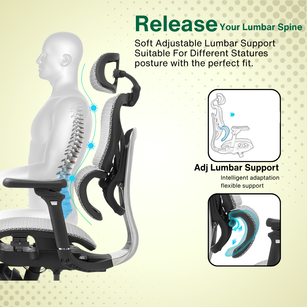Reiko Orbit + Pedal Ergonomic Chair Full Mesh Chair - 5 Years Warranty (Office Chair, Adjustable Lumbar Chair, Sihoo)