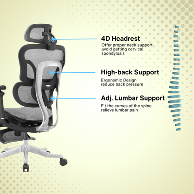 Reiko Orbit + Pedal Ergonomic Chair Full Mesh Chair - 5 Years Warranty (Office Chair, Adjustable Lumbar Chair, Sihoo)