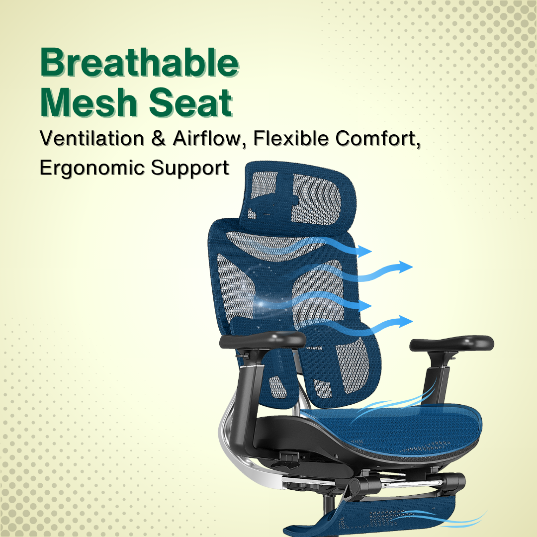 Reiko Ergolux with Pedal Ergonomic Chair Full Mesh 5 Years Warranty Office Chair, Adjustable Lumbar Chair, Sihoo)