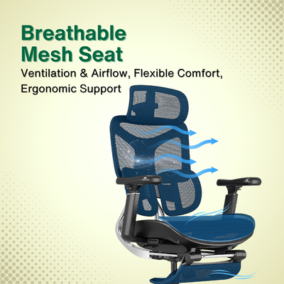 Reiko Ergolux with Pedal Ergonomic Chair Full Mesh 5 Years Warranty Office Chair, Adjustable Lumbar Chair, Sihoo)