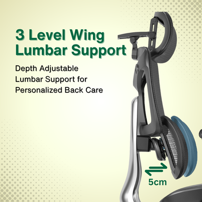 Reiko Ergolux with Pedal Ergonomic Chair Full Mesh 5 Years Warranty Office Chair, Adjustable Lumbar Chair, Sihoo)
