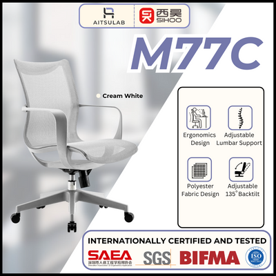 Sihoo M77C Ergonomic Chair / M77 C (Office Chair, Computer Chair, Lumbar Support Mesh Chair)