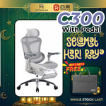 Sihoo Doro C300 Ergonomic Chair Malaysia | Aitsulab