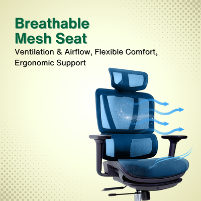 Reiko Vertex with Pedal Ergonomic Chair l Full Mesh Chair - 3 Years Warranty (Office Chair, Ergonomics Chair, Sihoo M57)