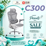 Sihoo Doro C300 Ergonomic Chair Malaysia | Aitsulab