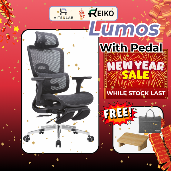 Reiko Lumos Ergonomic Chair