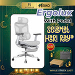 Reiko Ergolux Ergonomic Chair