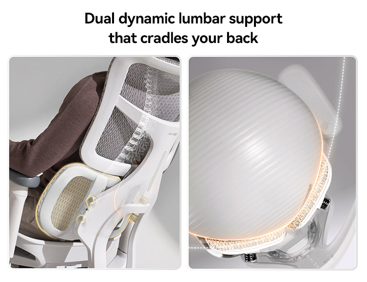 SIHOO Doro-S100 Mesh Ergonomic Office Chair | Aitsulab
