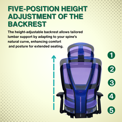 Reiko Nova 30 + Pedal Ergonomic Chair  Full Mesh Chair - 3 Years Warranty (Office Chair, Ergonomics Chair, Sihoo)