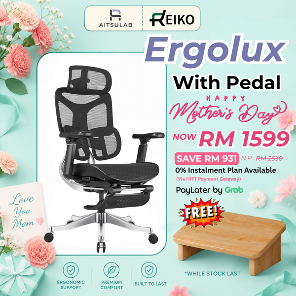 Reiko Ergolux Ergonomic Chair
