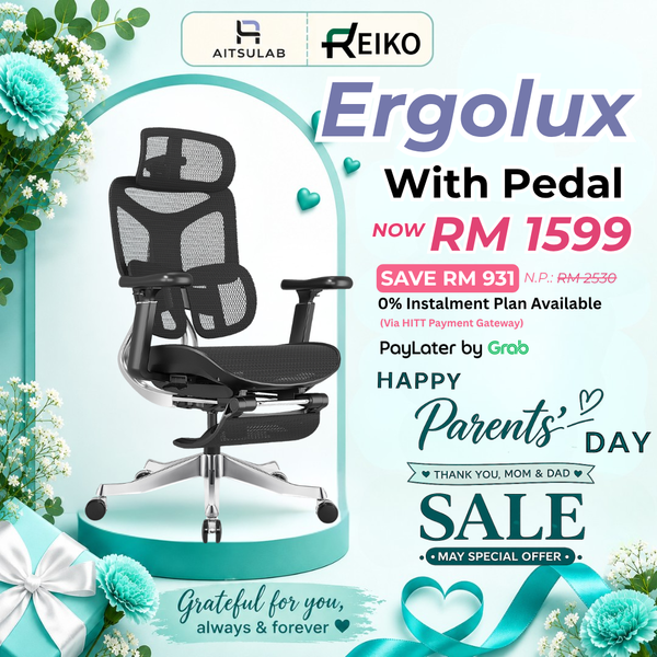 Reiko Ergolux Ergonomic Chair