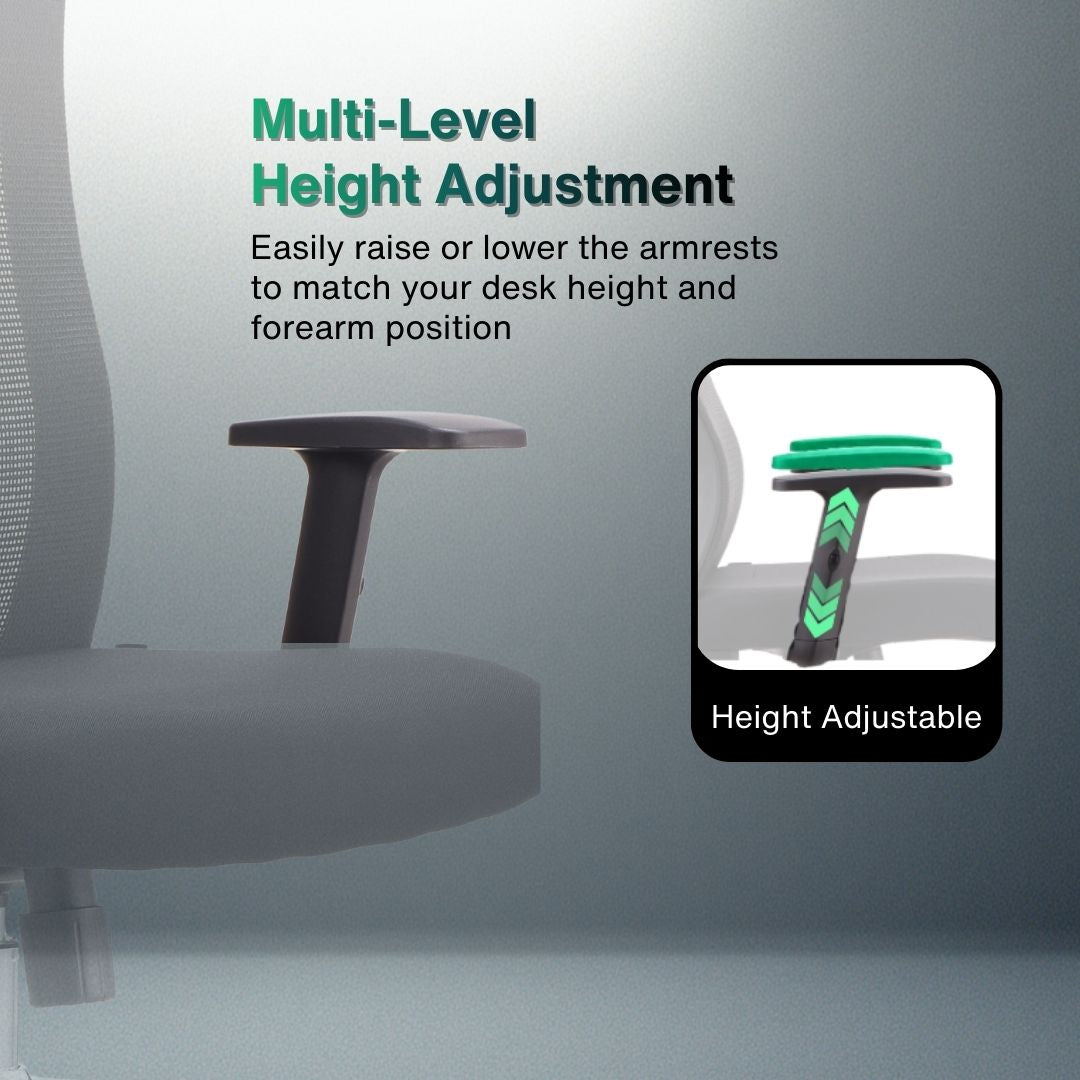 Reiko Elite Office Chair Lumbar Support | Aitsulab