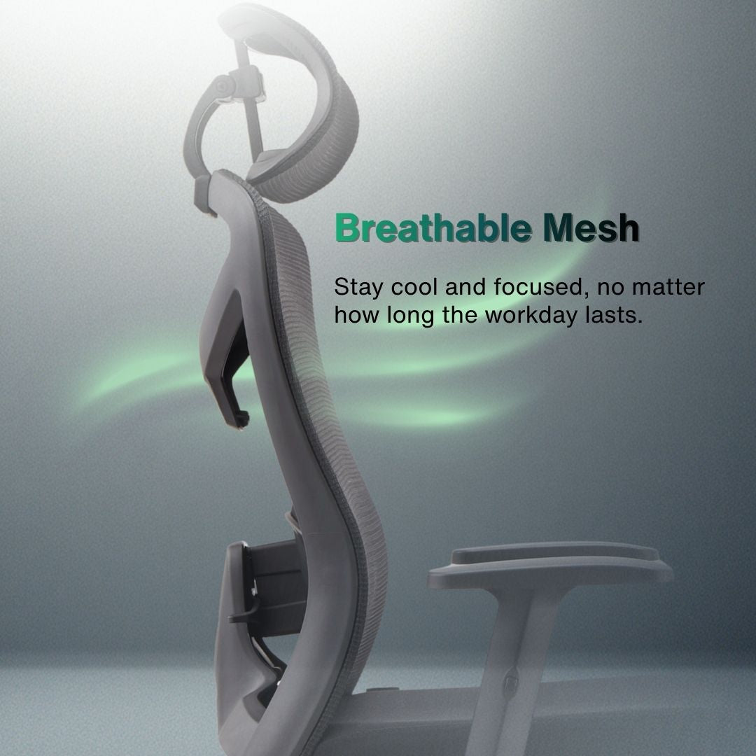 Reiko Elite Office Chair Lumbar Support | Aitsulab