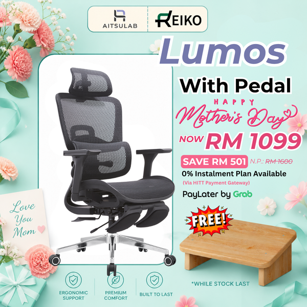 Reiko Lumos Ergonomic Chair
