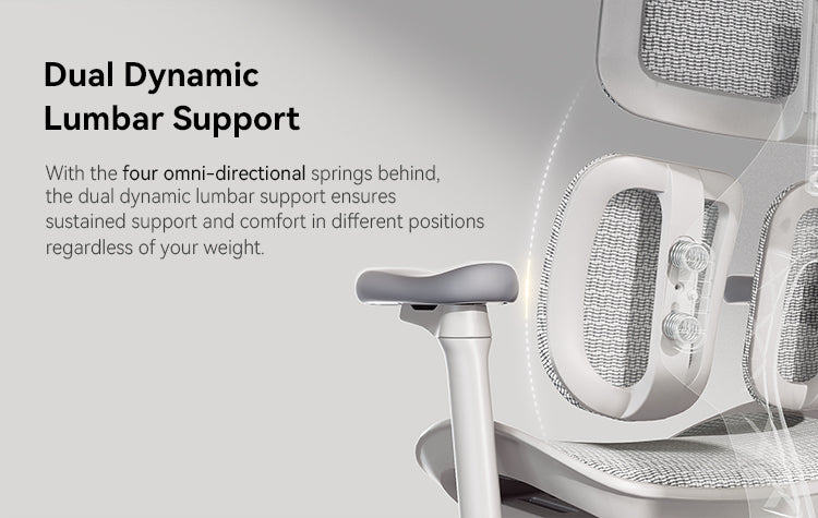 SIHOO Doro-S100 Mesh Ergonomic Office Chair | Aitsulab