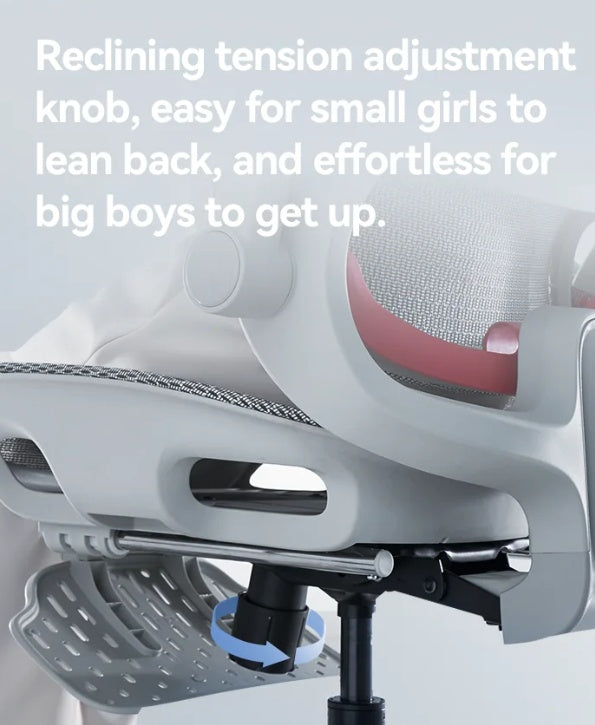 SIHOO B100 Pro Full Mesh Office Chair | Aitsulab