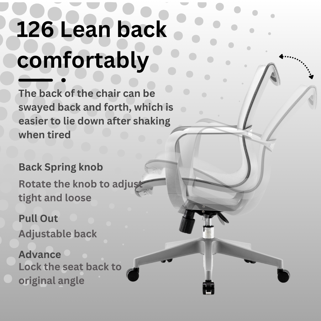 Sihoo M77C Ergonomic Chair / M77 C (Office Chair, Computer Chair, Lumbar Support Mesh Chair)