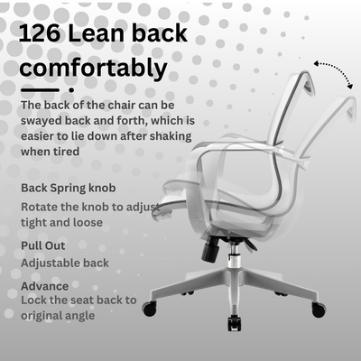 Sihoo M77C Ergonomic Chair / M77 C (Office Chair, Computer Chair, Lumbar Support Mesh Chair)