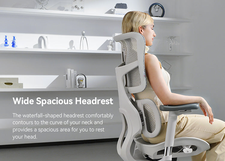 SIHOO Doro-S100 Mesh Ergonomic Office Chair | Aitsulab