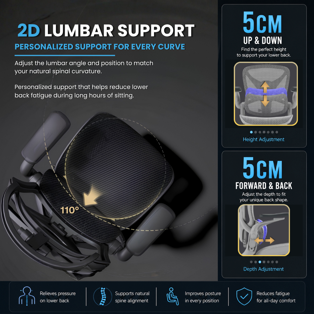 Reiko Apex 2D lumbar support for lower back comfort