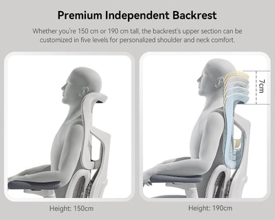 Sihoo Doro S100 Ergonomic Chair / Office Chair / Director Chair / Space Chair / Gaming Chair