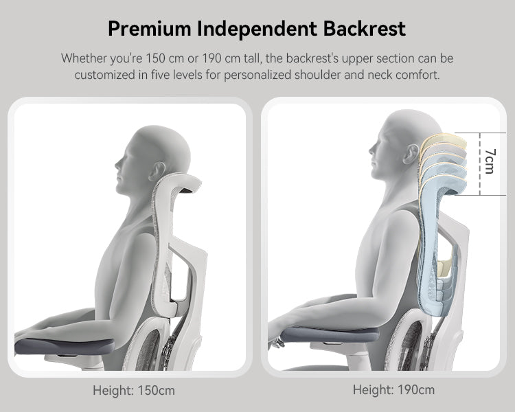 SIHOO Doro-S100 Mesh Ergonomic Office Chair | Aitsulab