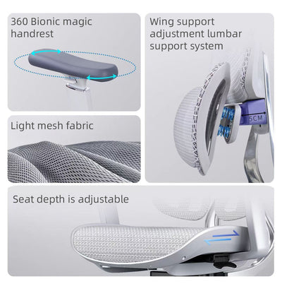 Reiko Ergolux with Pedal Ergonomic Chair Full Mesh 5 Years Warranty Office Chair, Adjustable Lumbar Chair, Sihoo)