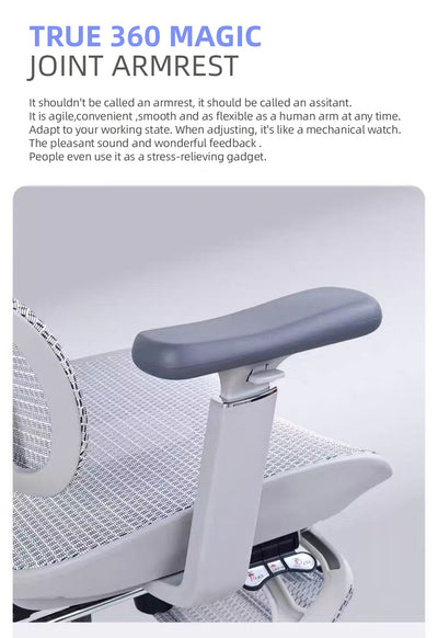 Reiko Ergolux with Pedal Ergonomic Chair Full Mesh 5 Years Warranty Office Chair, Adjustable Lumbar Chair, Sihoo)