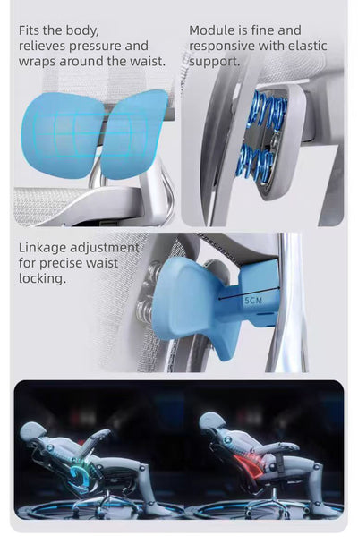 Reiko Ergolux with Pedal Ergonomic Chair Full Mesh 5 Years Warranty Office Chair, Adjustable Lumbar Chair, Sihoo)