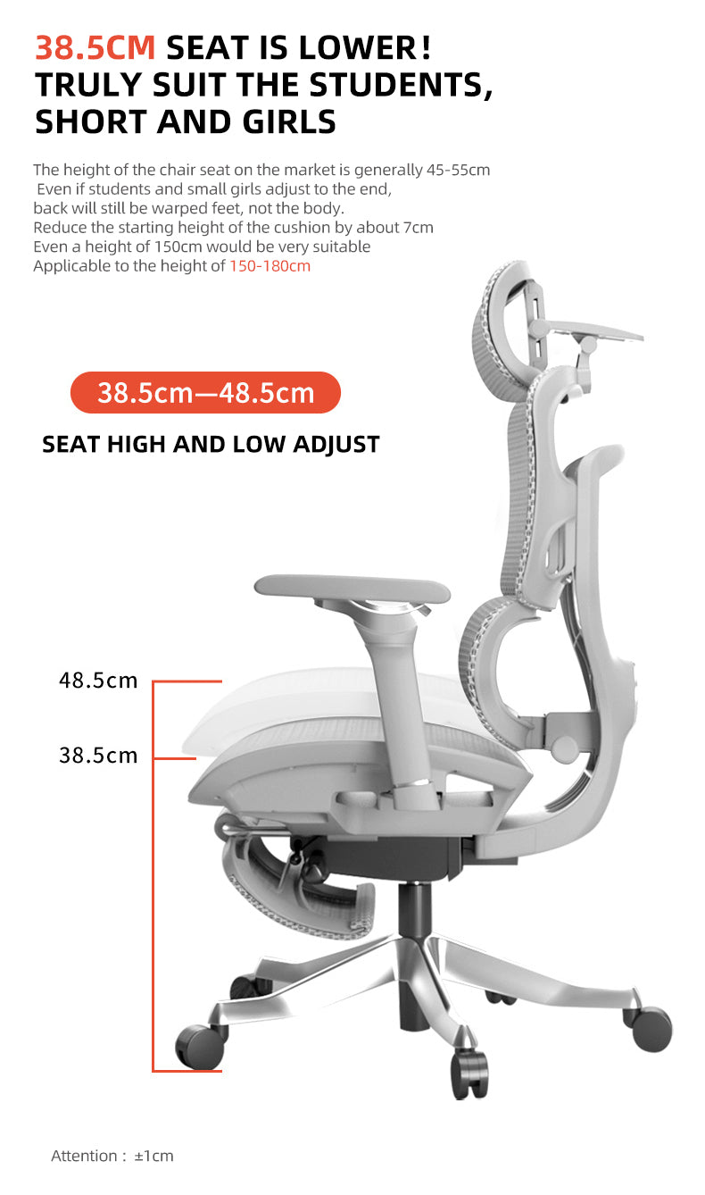 Reiko Aurelia 6D Armrest Heavy-Duty S-Shaped Ergonomic Office Chair With Footrest - 5 Years Warranty