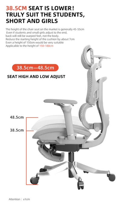 Reiko Aurelia 6D Armrest Heavy-Duty S-Shaped Ergonomic Office Chair With Footrest - 5 Years Warranty