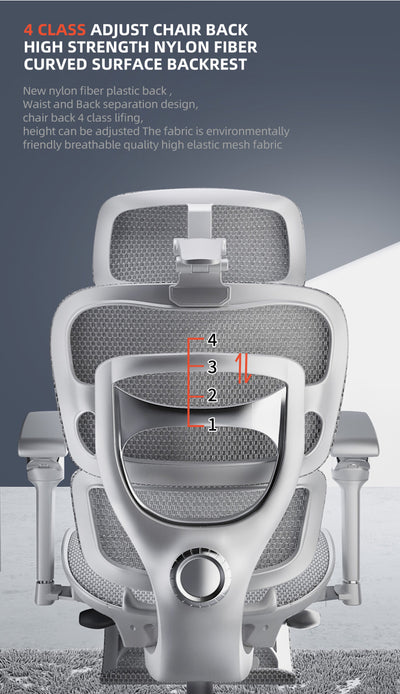 Reiko Aurelia 6D Armrest Heavy-Duty S-Shaped Ergonomic Office Chair With Footrest - 5 Years Warranty