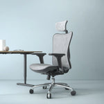 SIHOO M57 Ergonomic Chair