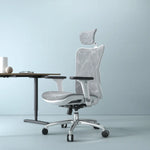 SIHOO M57 Ergonomic Chair