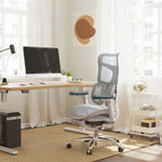 SIHOO Doro-S100 Mesh Ergonomic Office Chair | Aitsulab