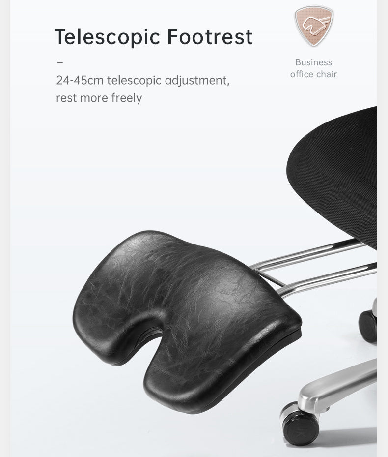 SIHOO V1 Adjustable Ergonomic Chair Malaysia | Aitsulab