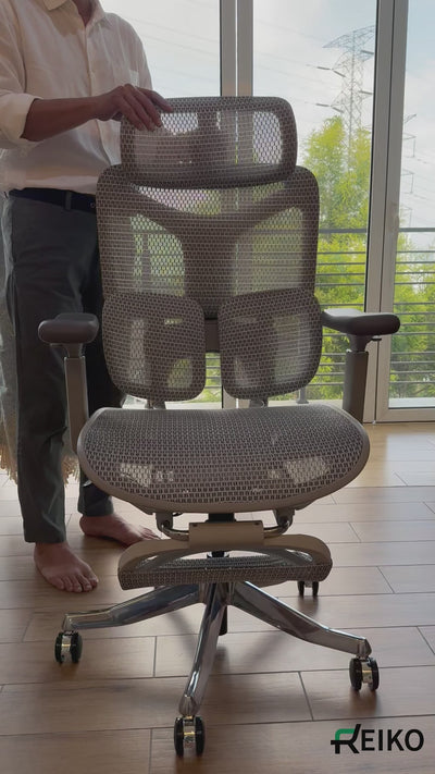 Reiko Ergolux with Pedal Ergonomic Chair Full Mesh 5 Years Warranty Office Chair, Adjustable Lumbar Chair, Sihoo)